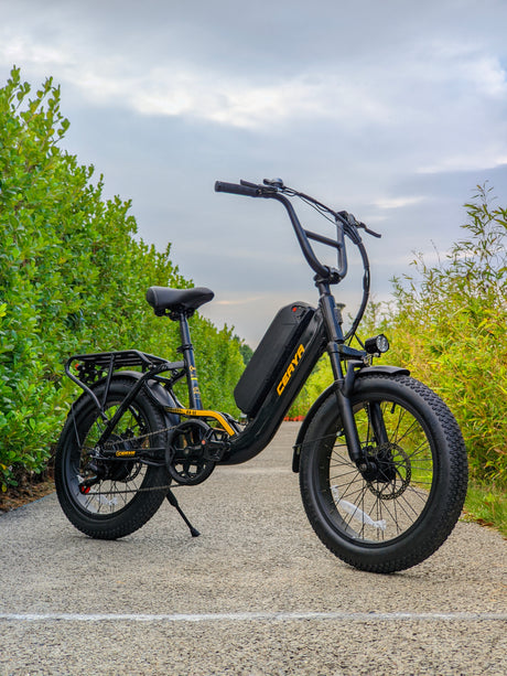 Ebike R8SE