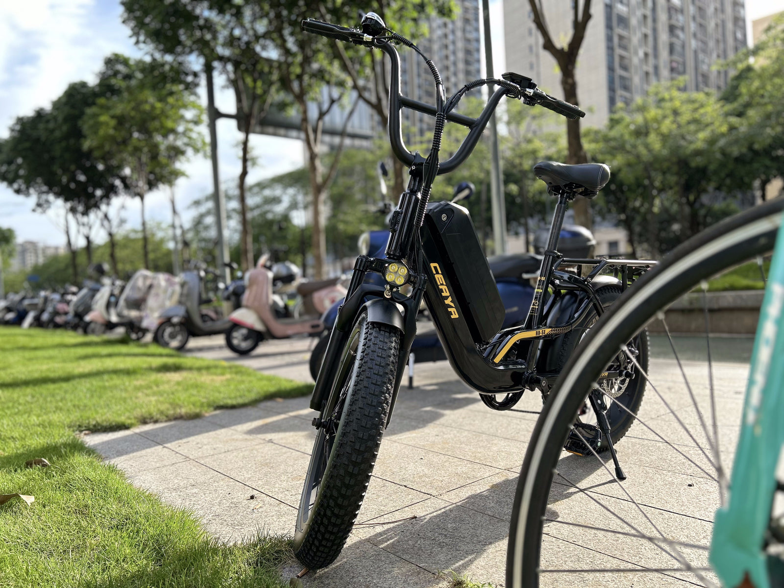 What factors are responsible for the popularity of e-bikes?