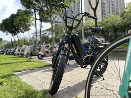 What factors are responsible for the popularity of e-bikes?