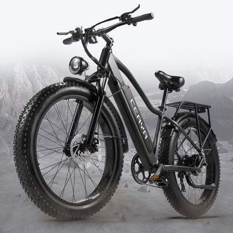 CEAYA Electric Bike RX20