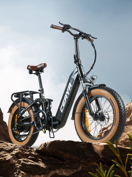 Folding Bike