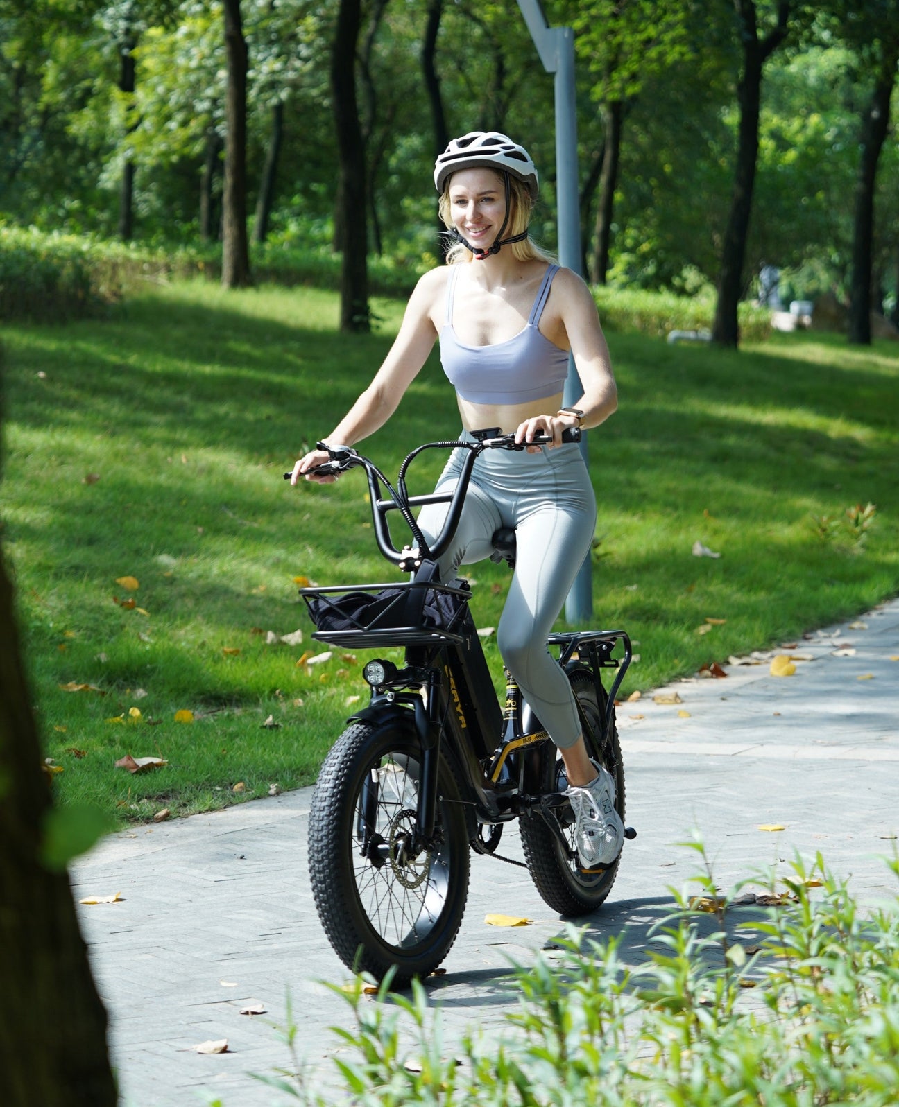 Step-thru E-Bike