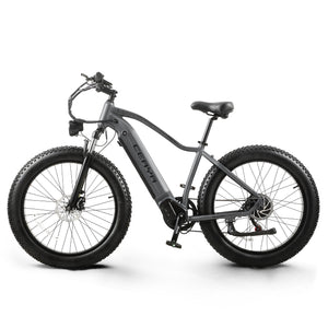 CEAYA Bicicletta elettrica RX50