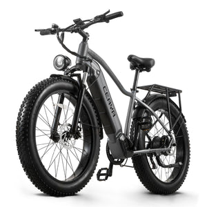 CEAYA Bicicletta elettrica RX50