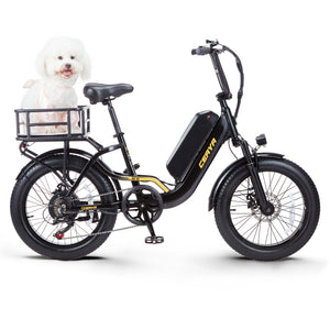 CEAYA Electric Bike R8SE