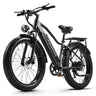 CEAYA Electric Bike RX20