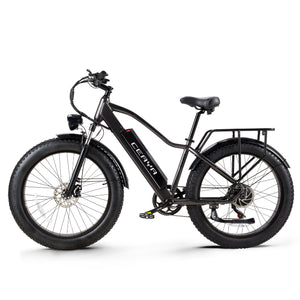 CEAYA Electric Bike RX20