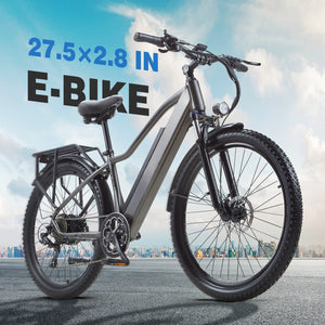 CEAYA Electric Bike RX70