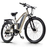 CEAYA+ Series Electric Bike RX10