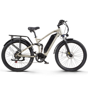 CEAYA+ Series Electric Bike RX10