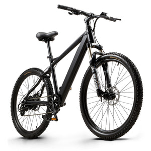 GEPTEP Bicicleta Eléctrica Pathfinder 1.0（L03）