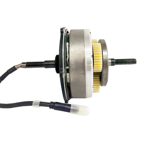 Electric Bike Motor