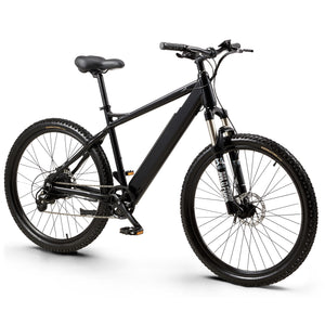 GEPTEP Bicicletta elettrica Pathfinder 1.0（L03）