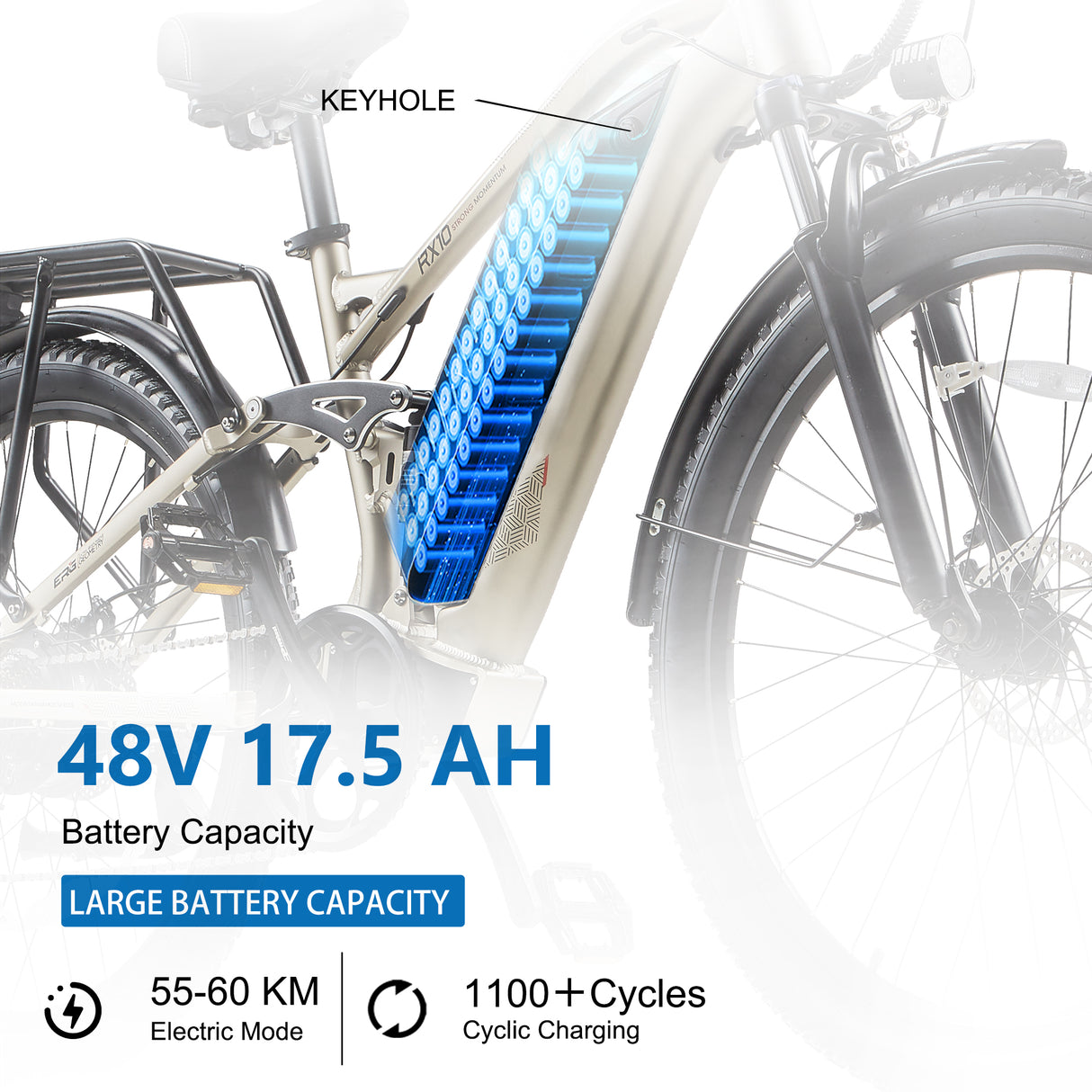 CEAYA+ Series Electric Bike RX10