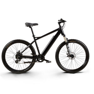 GEPTEP Bicicletta elettrica Pathfinder 1.0（L03）