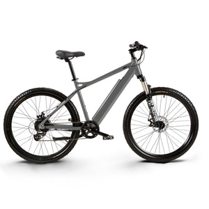 GEPTEP Elektrofahrrad Pathfinder 1.0 (L03)